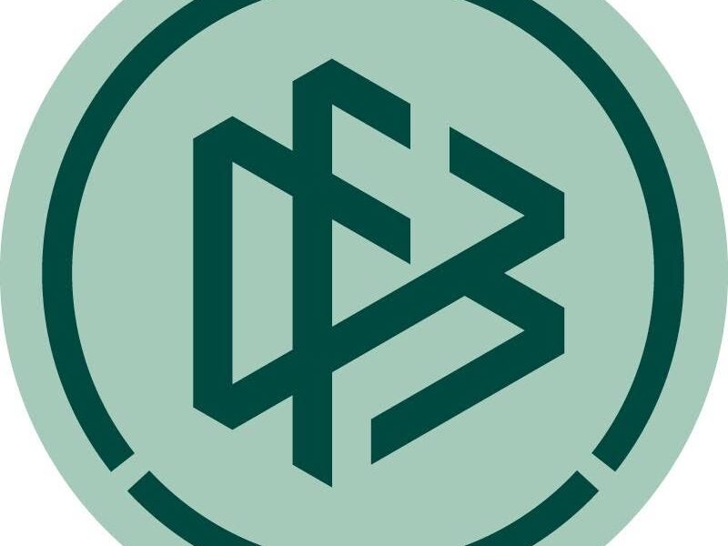 DFB logo