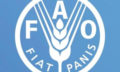 FAO
