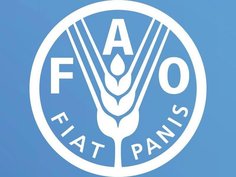 FAO