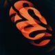 Euroleague Basketball