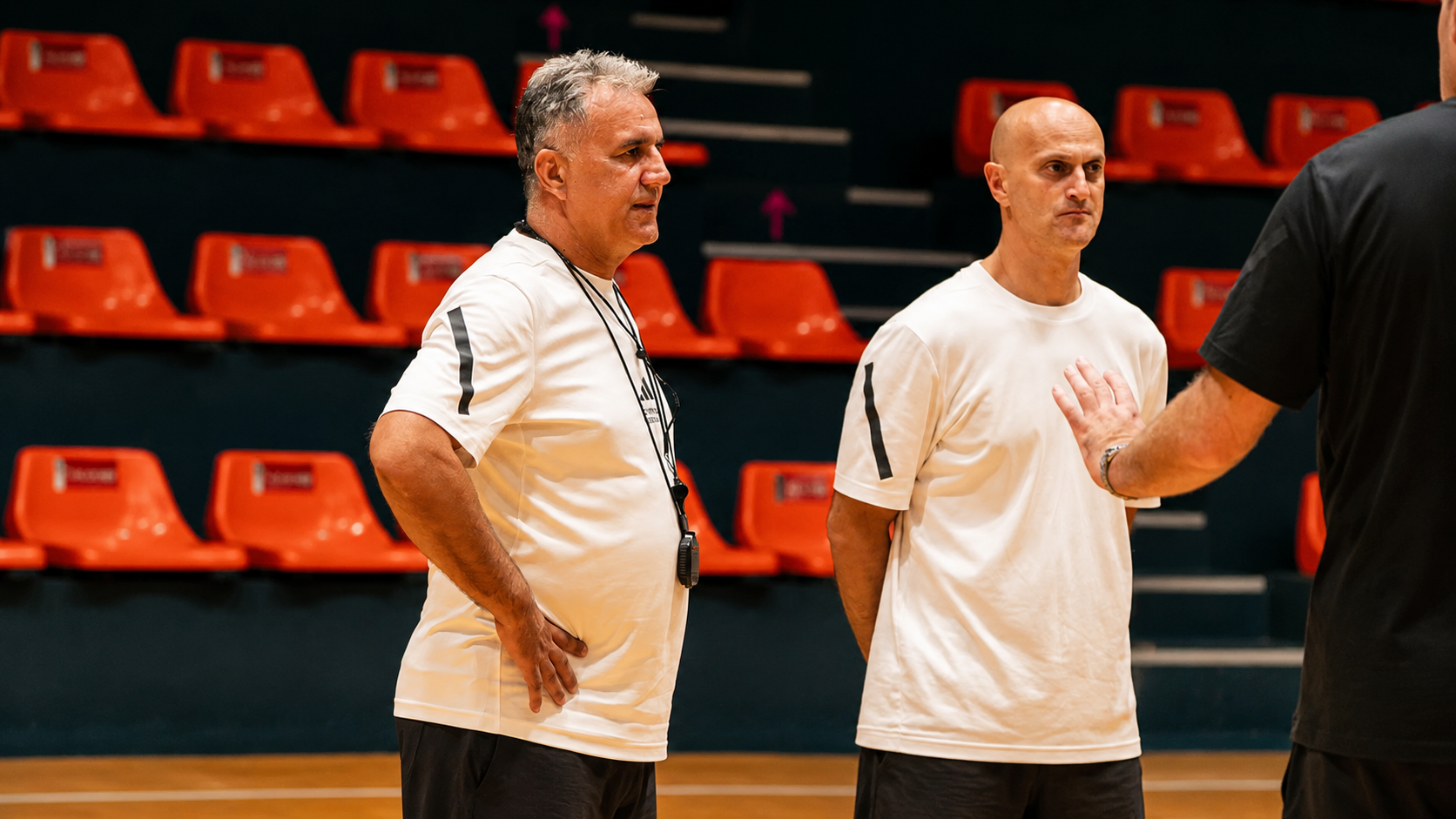 Dragan Bajić, trener BC Vienna