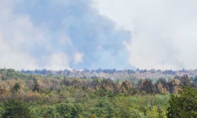 Požar u Deliblatskoj peščari
