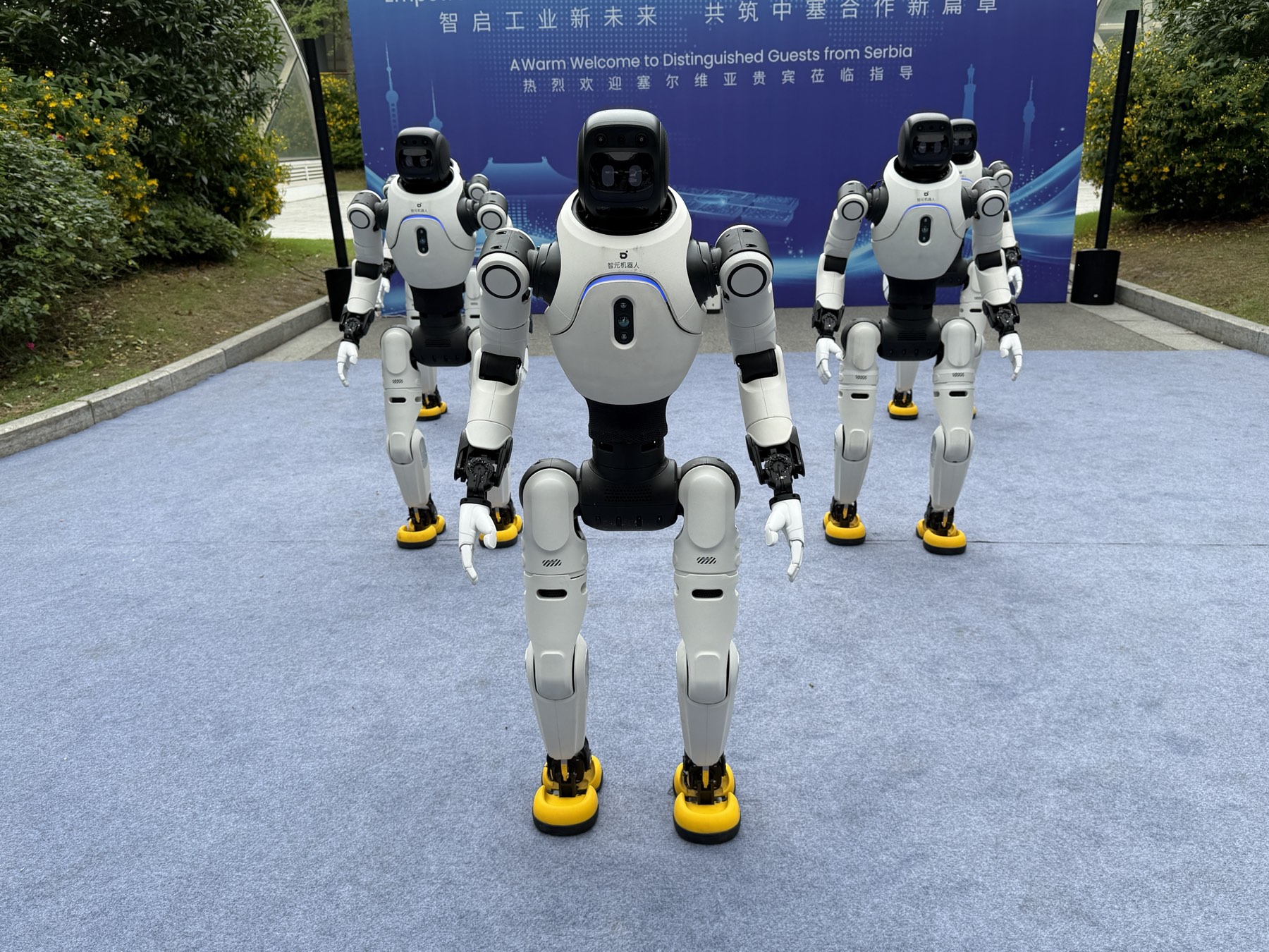 Humanoidni roboti iz Šapca