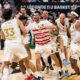 KK Crvena zvezda